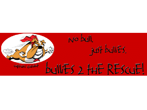bullies 2 the rescue