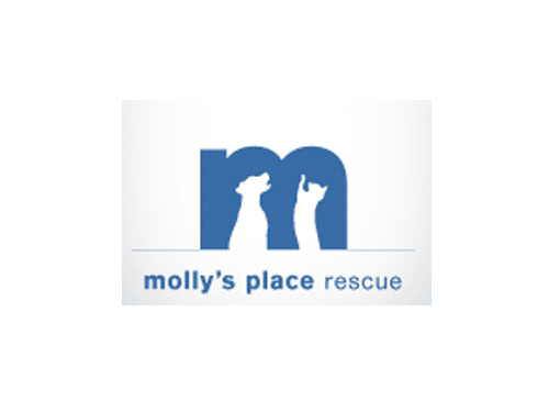 mollys place rescue